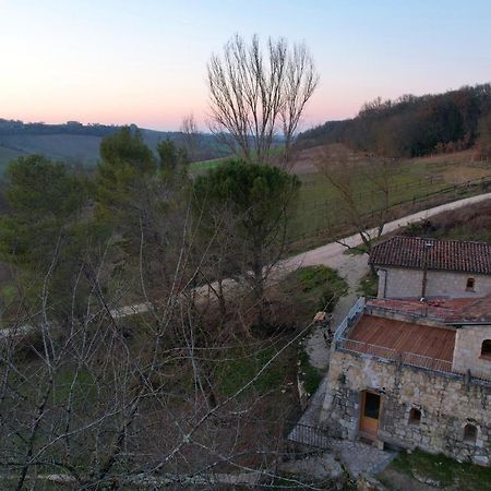 Grand Gite Les Cabanes De Fallot Pour 19 Personnes - Piscine Naturelle L'isle-Bouzon Exteriér fotografie