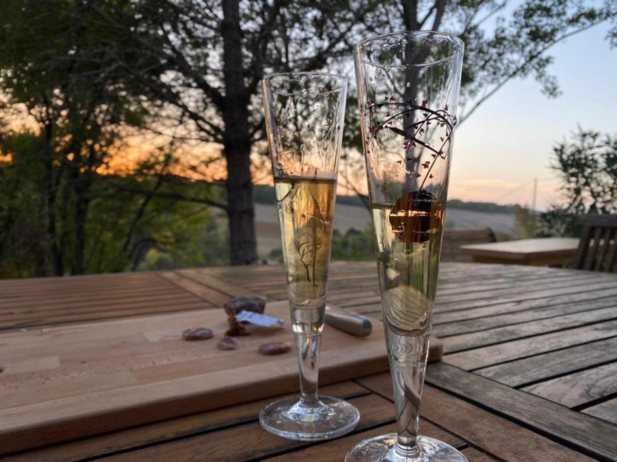 Grand Gite Les Cabanes De Fallot Pour 19 Personnes - Piscine Naturelle L'isle-Bouzon Exteriér fotografie