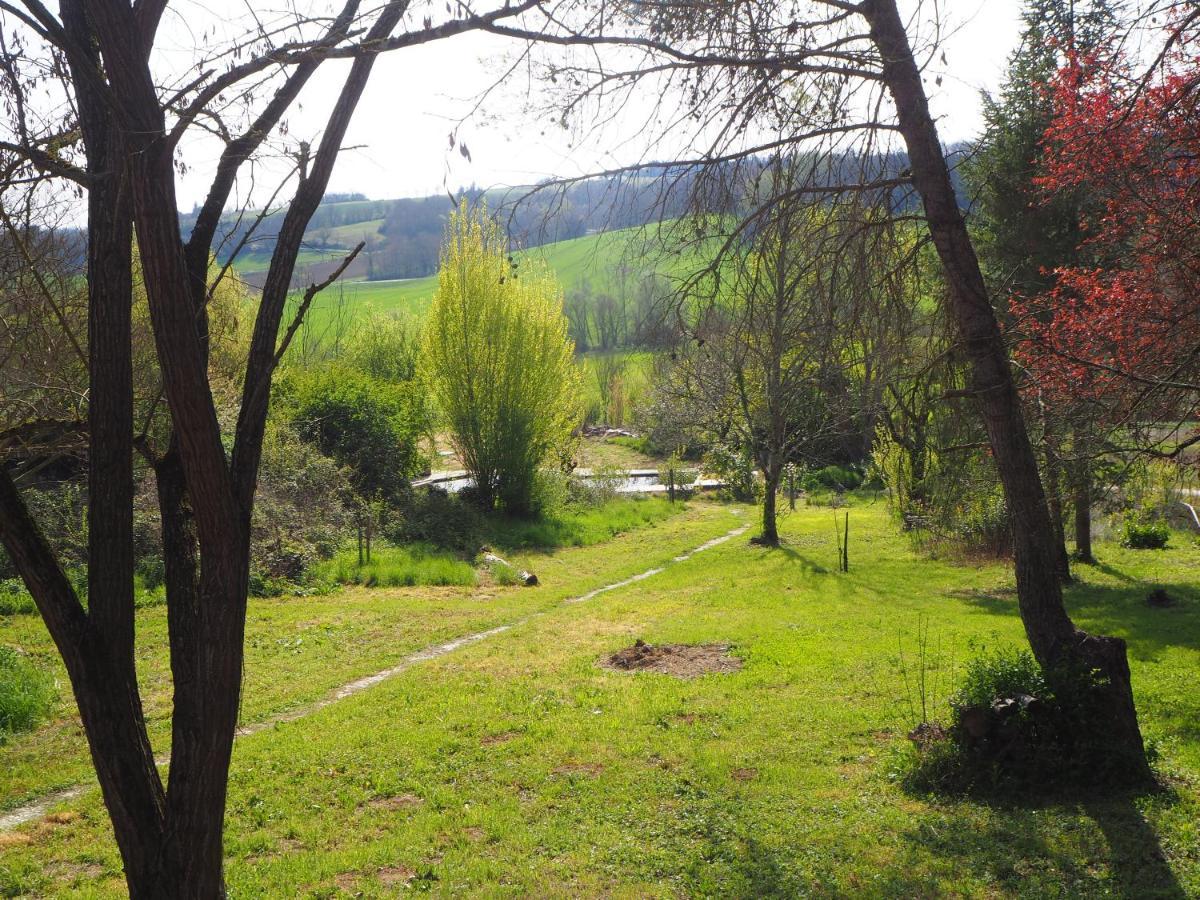 Grand Gite Les Cabanes De Fallot Pour 19 Personnes - Piscine Naturelle L'isle-Bouzon Exteriér fotografie
