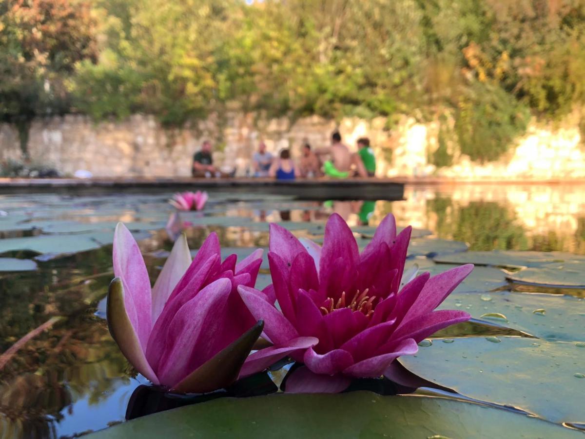Grand Gite Les Cabanes De Fallot Pour 19 Personnes - Piscine Naturelle L'isle-Bouzon Exteriér fotografie